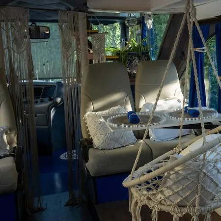 Vamosbus *